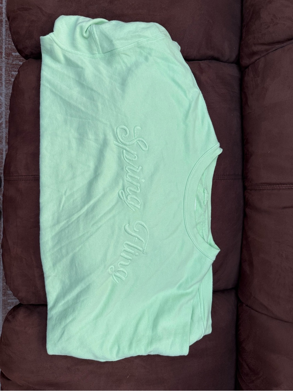 aerie Mint Green Pullover Sweatshirt with Embroidered Text